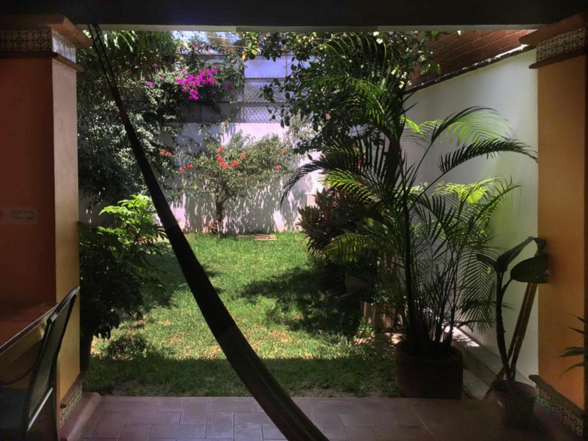 Los Nardos Hostel -Pet Friendly- Oaxaca Exterior photo