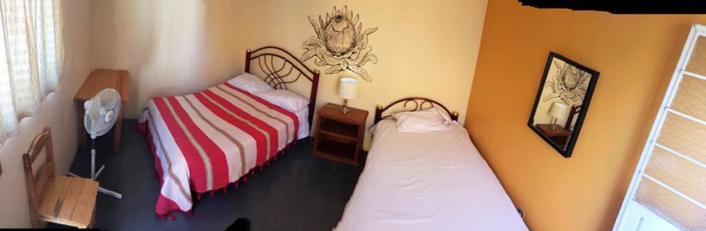 Los Nardos Hostel -Pet Friendly- Oaxaca Exterior photo