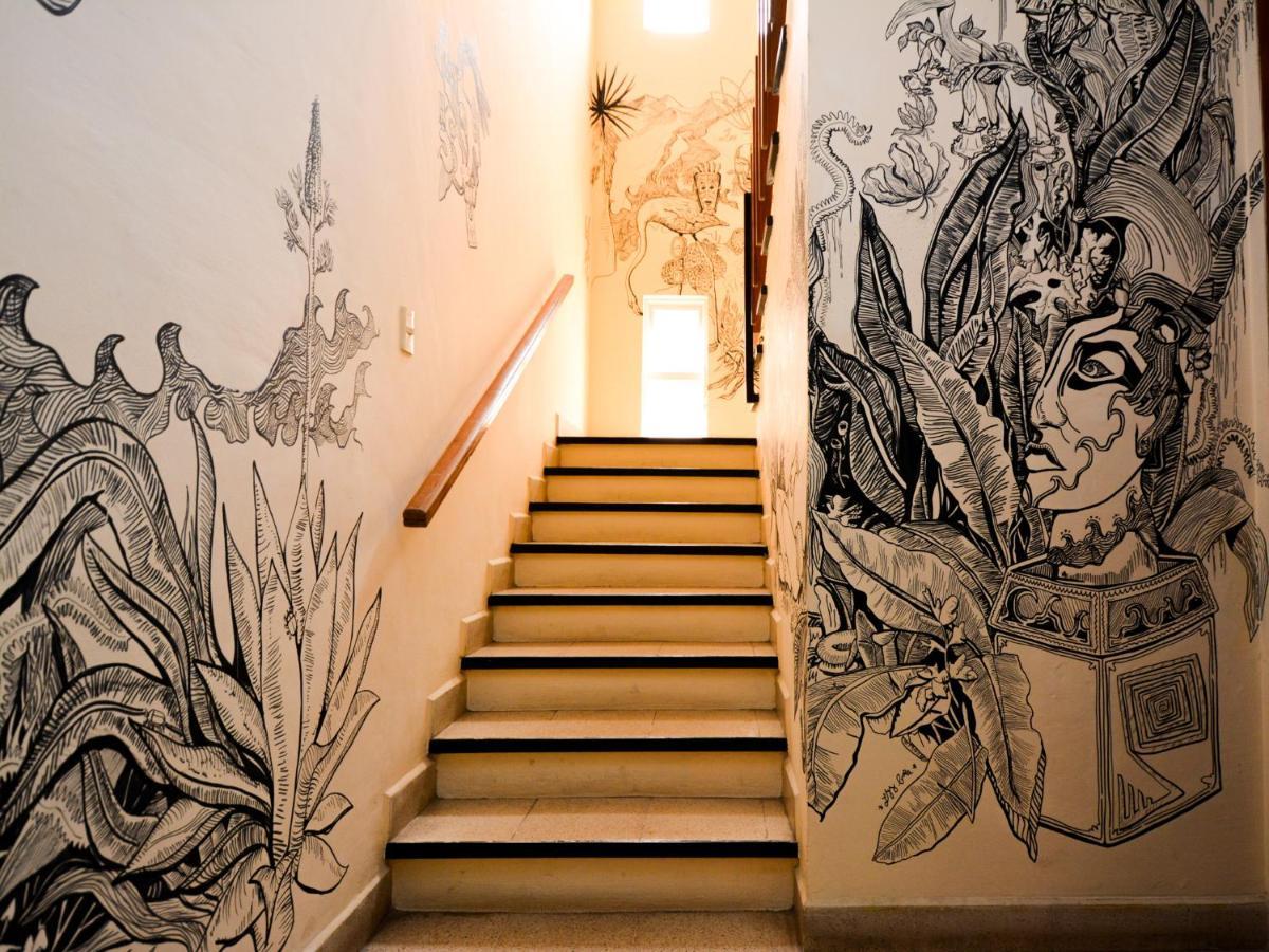 Los Nardos Hostel -Pet Friendly- Oaxaca Exterior photo