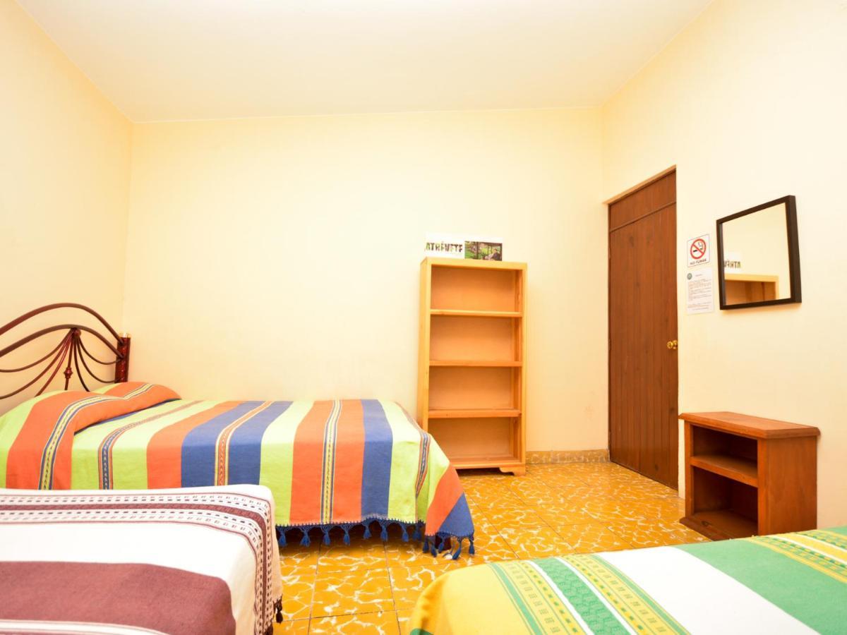 Los Nardos Hostel -Pet Friendly- Oaxaca Exterior photo
