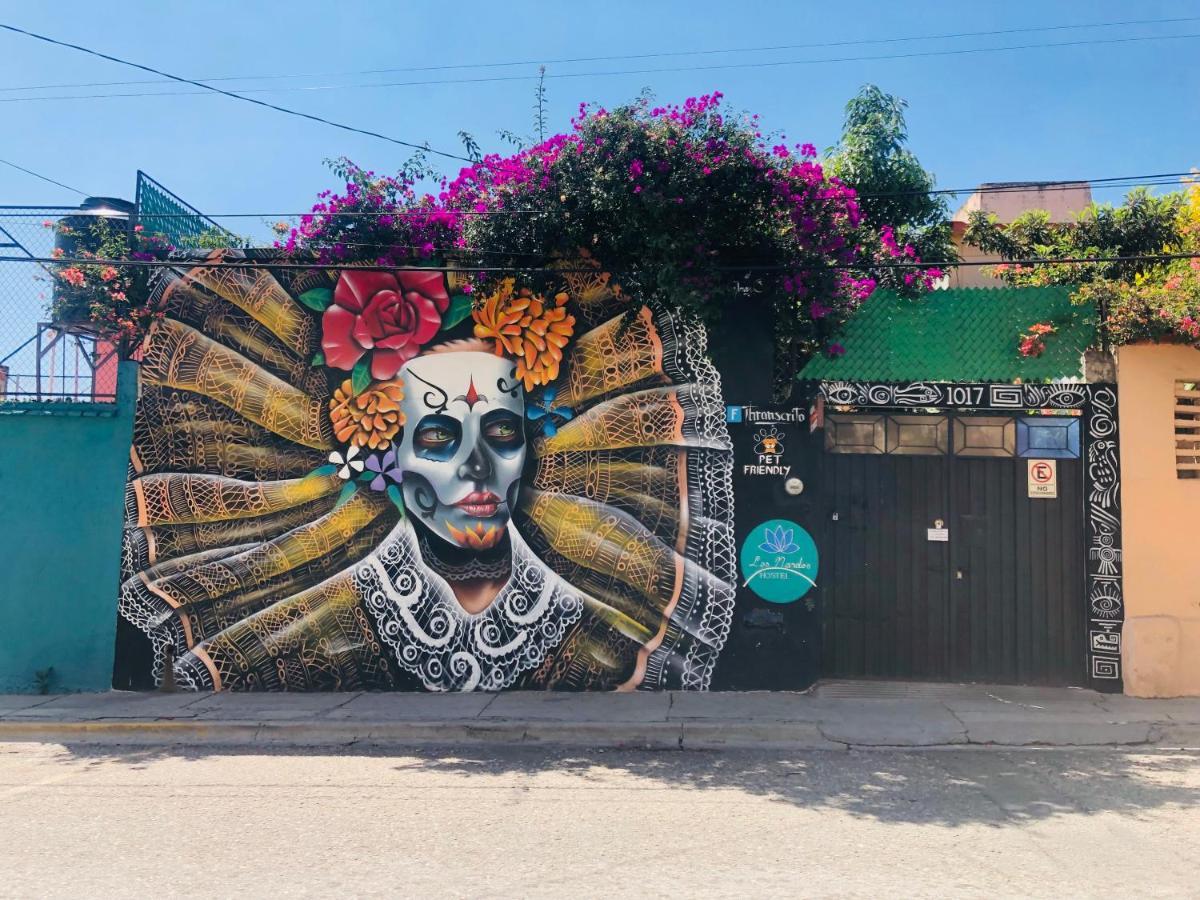 Los Nardos Hostel -Pet Friendly- Oaxaca Exterior photo