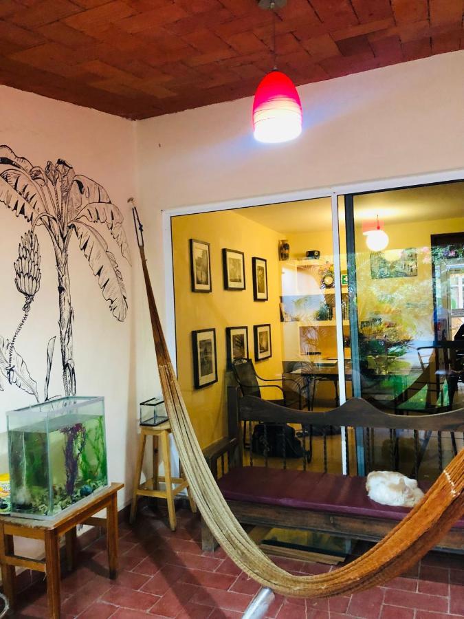 Los Nardos Hostel -Pet Friendly- Oaxaca Exterior photo