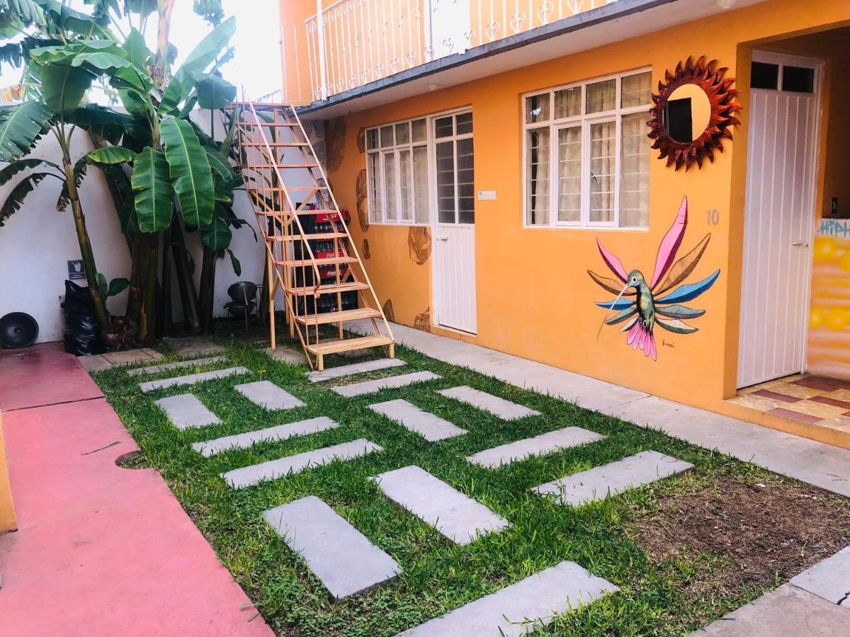 Los Nardos Hostel -Pet Friendly- Oaxaca Exterior photo