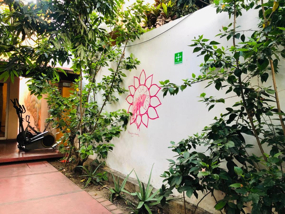 Los Nardos Hostel -Pet Friendly- Oaxaca Exterior photo