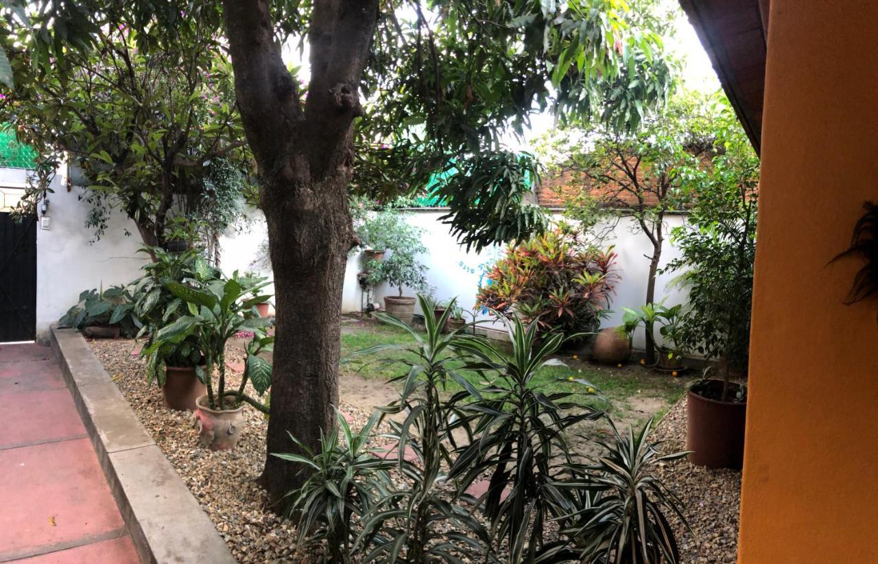 Los Nardos Hostel -Pet Friendly- Oaxaca Exterior photo