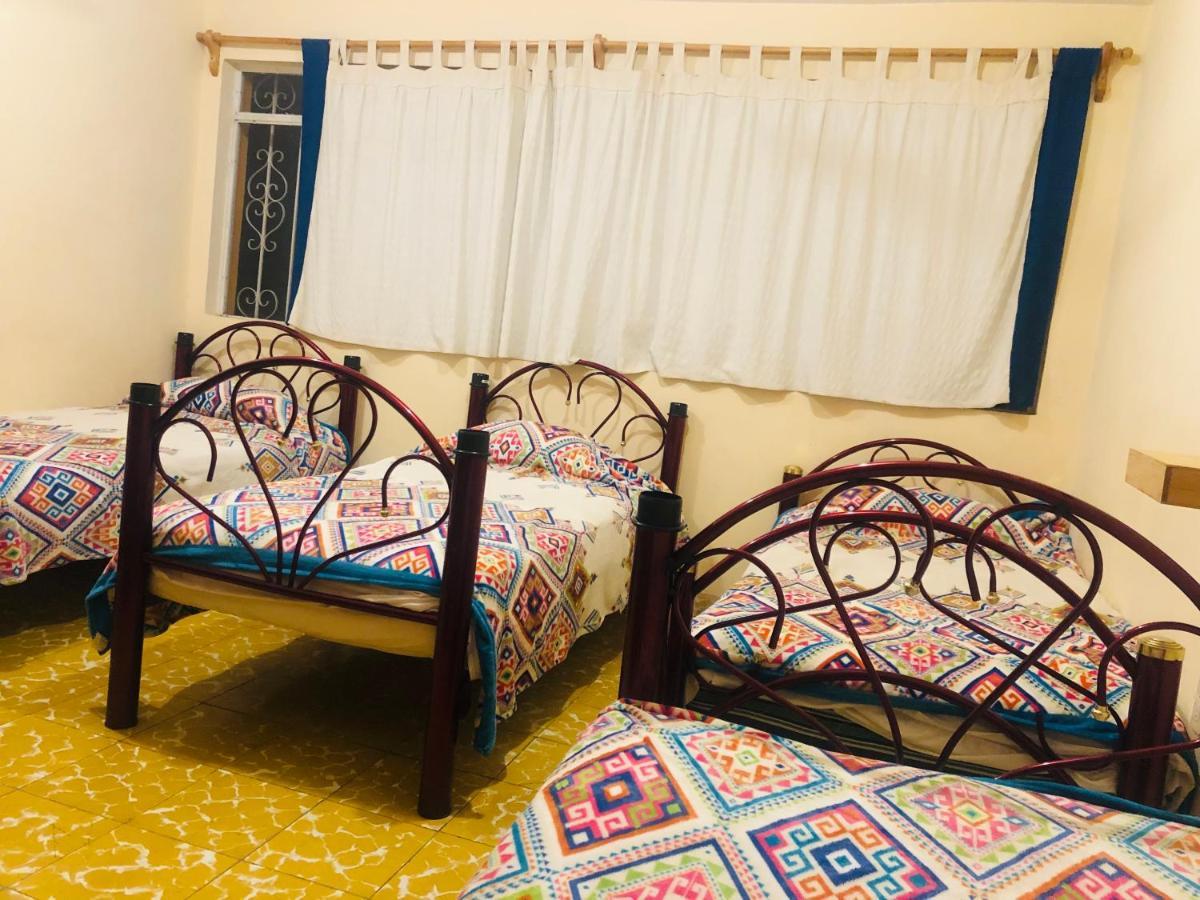 Los Nardos Hostel -Pet Friendly- Oaxaca Exterior photo