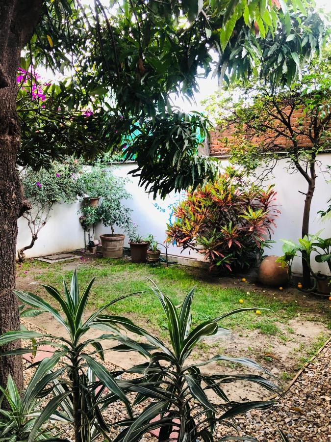 Los Nardos Hostel -Pet Friendly- Oaxaca Exterior photo