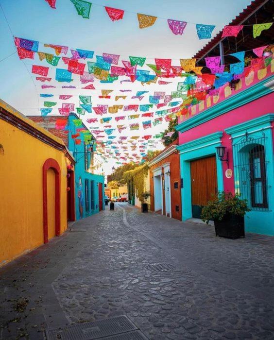 Los Nardos Hostel -Pet Friendly- Oaxaca Exterior photo