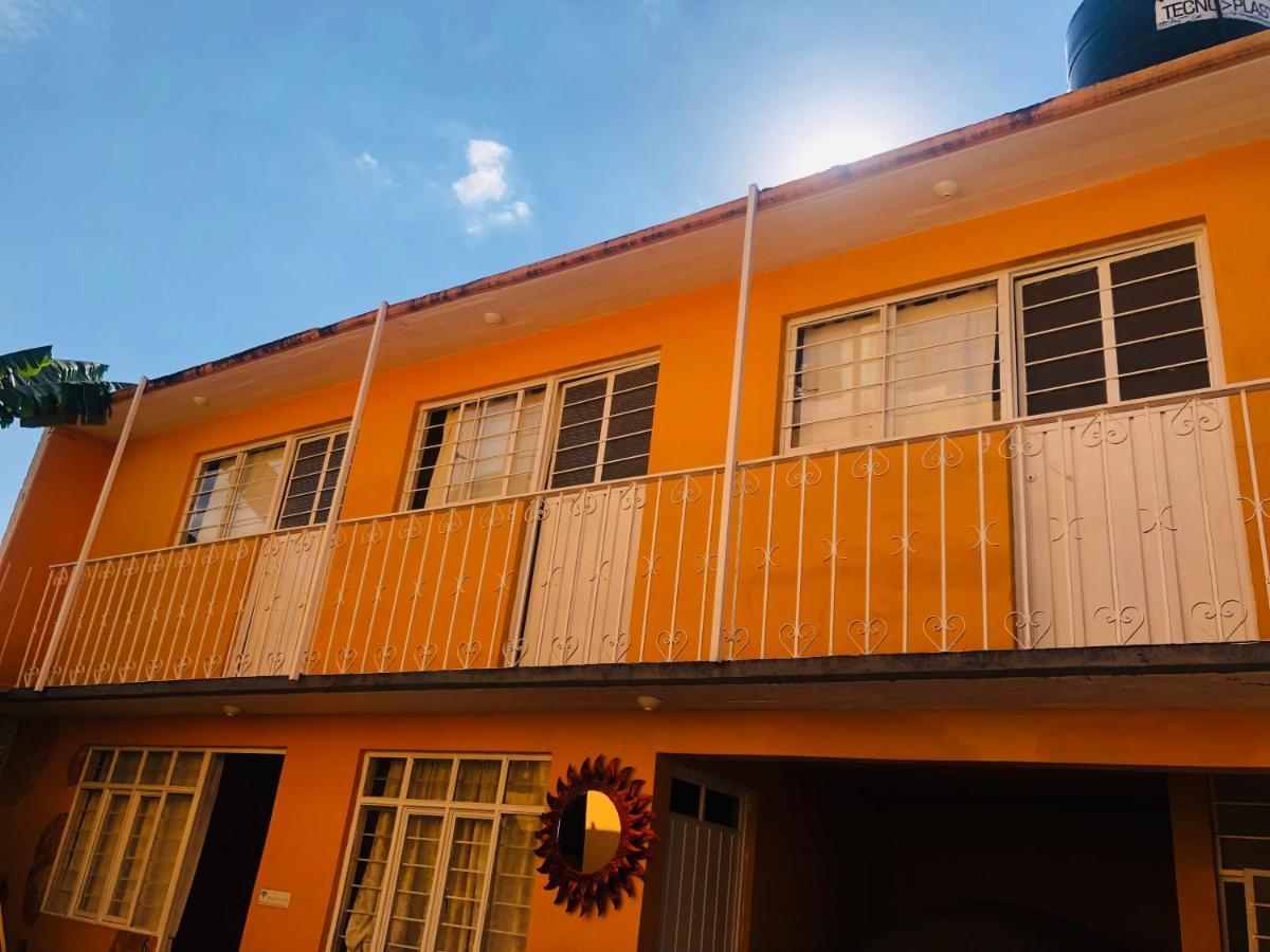 Los Nardos Hostel -Pet Friendly- Oaxaca Exterior photo