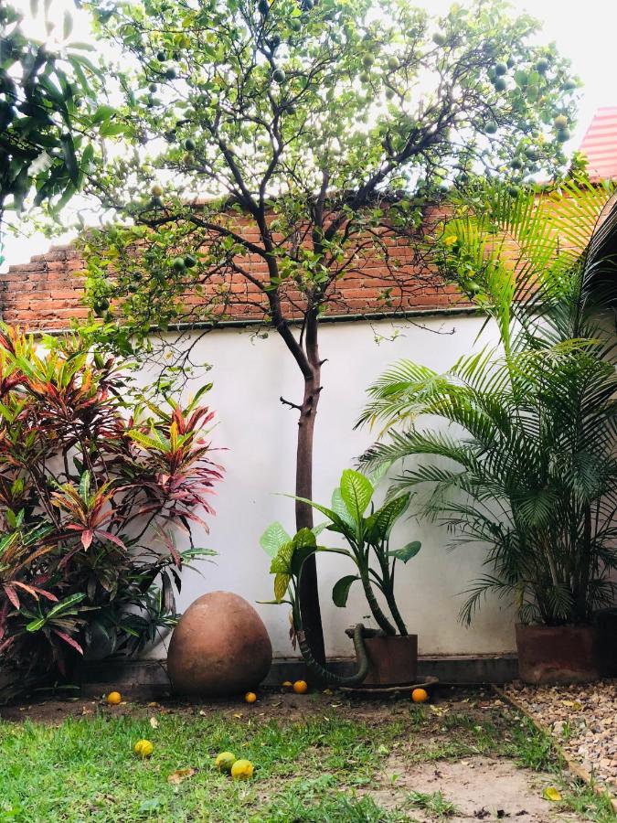 Los Nardos Hostel -Pet Friendly- Oaxaca Exterior photo
