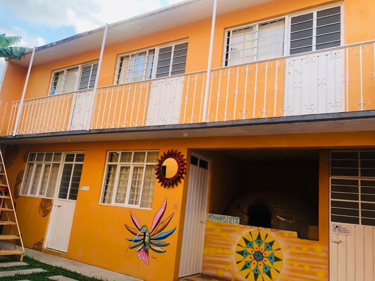 Los Nardos Hostel -Pet Friendly- Oaxaca Exterior photo