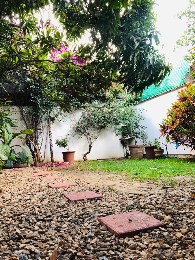 Los Nardos Hostel -Pet Friendly- Oaxaca Exterior photo