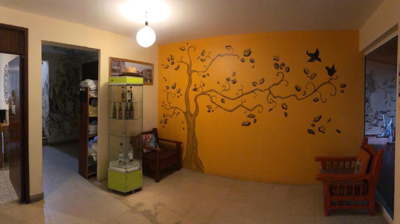 Los Nardos Hostel -Pet Friendly- Oaxaca Exterior photo