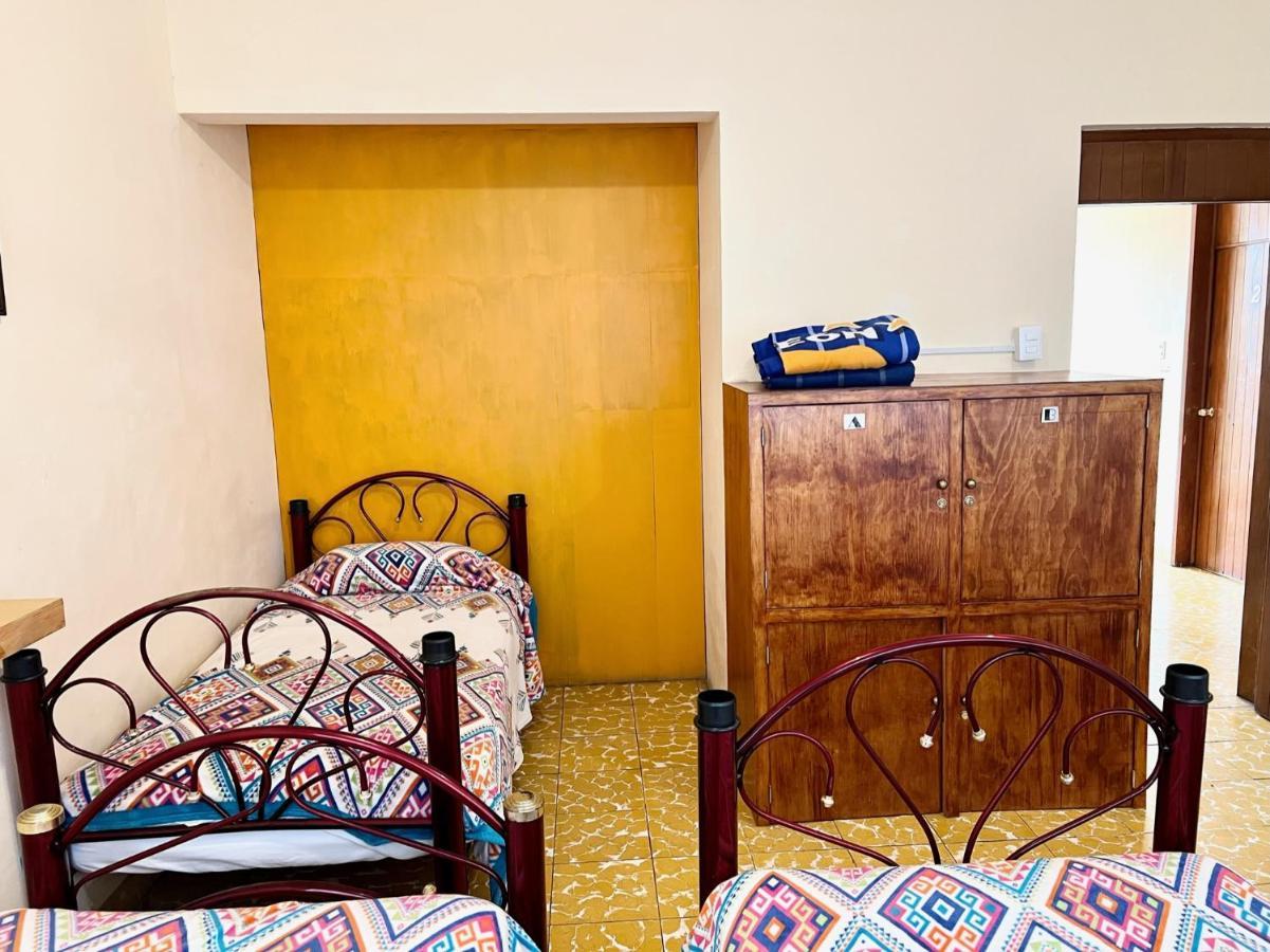 Los Nardos Hostel -Pet Friendly- Oaxaca Exterior photo