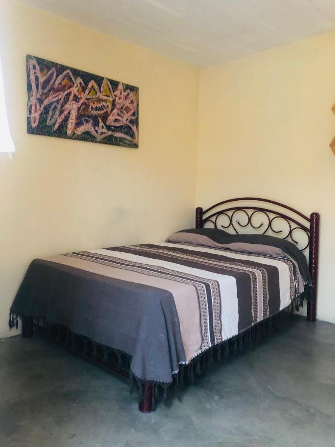 Los Nardos Hostel -Pet Friendly- Oaxaca Exterior photo
