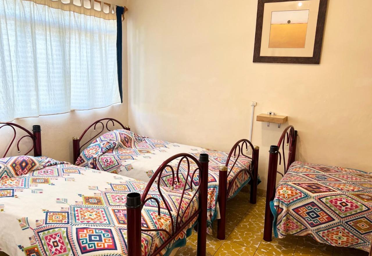 Los Nardos Hostel -Pet Friendly- Oaxaca Exterior photo