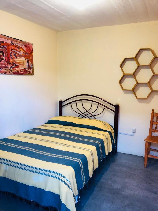 Los Nardos Hostel -Pet Friendly- Oaxaca Exterior photo