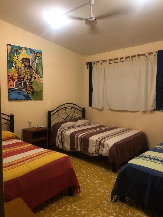 Los Nardos Hostel -Pet Friendly- Oaxaca Exterior photo