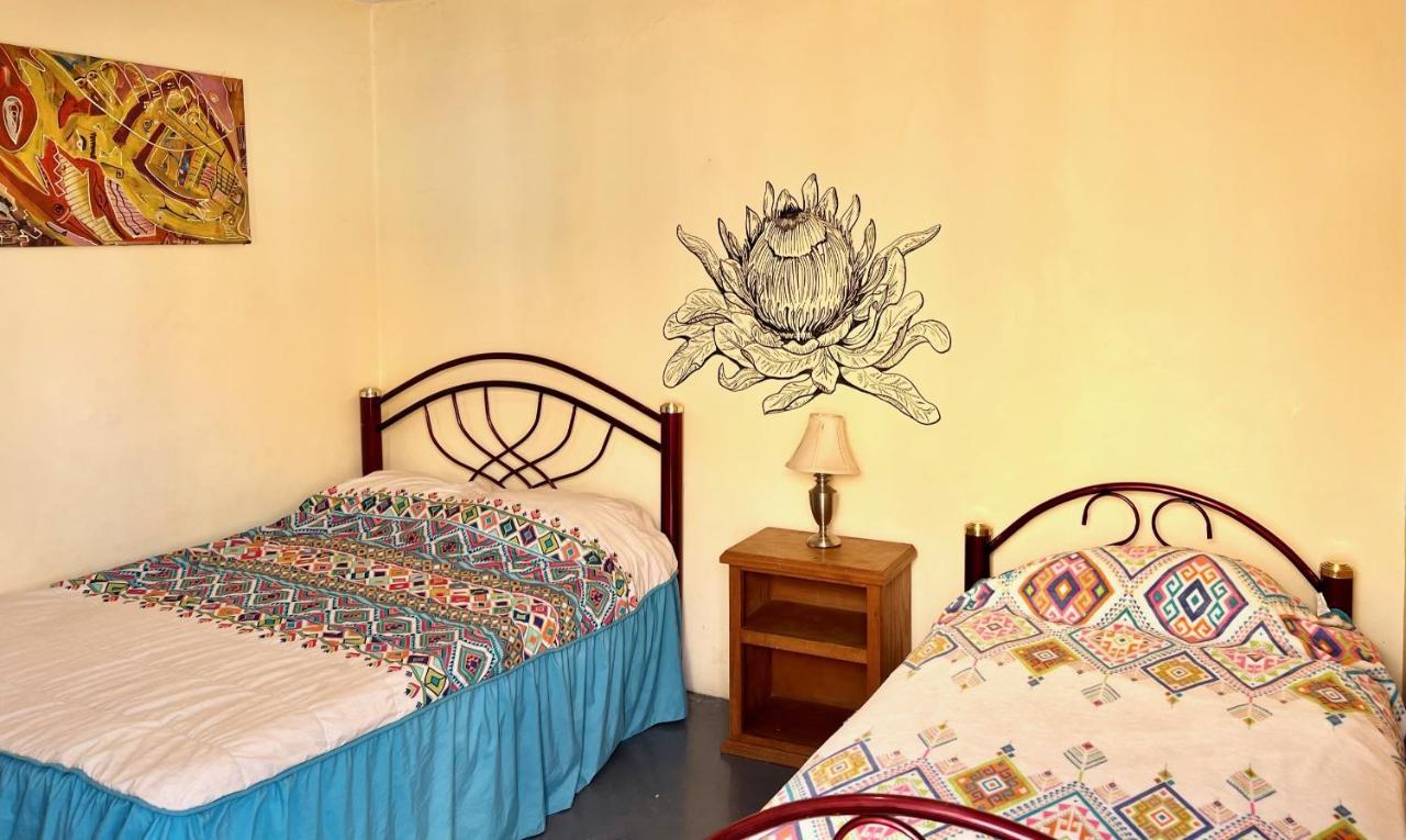 Los Nardos Hostel -Pet Friendly- Oaxaca Exterior photo