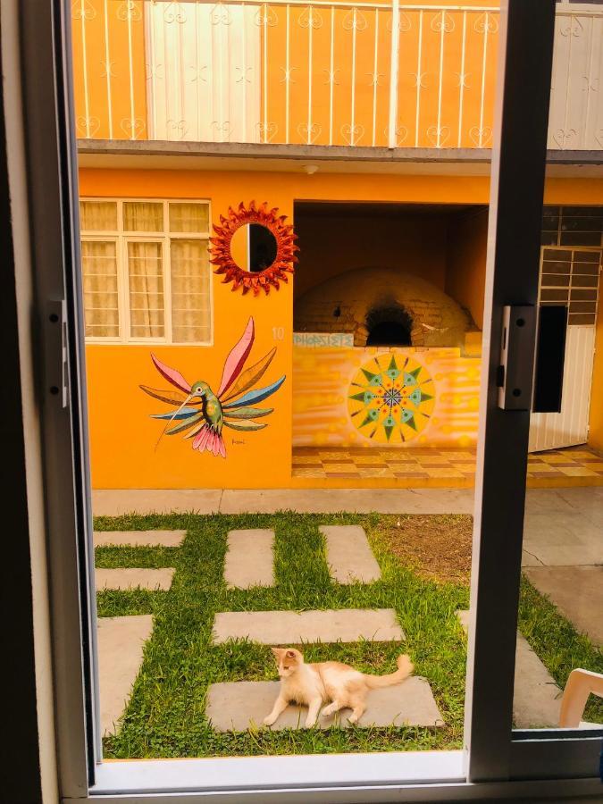 Los Nardos Hostel -Pet Friendly- Oaxaca Exterior photo