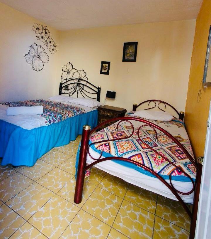 Los Nardos Hostel -Pet Friendly- Oaxaca Exterior photo