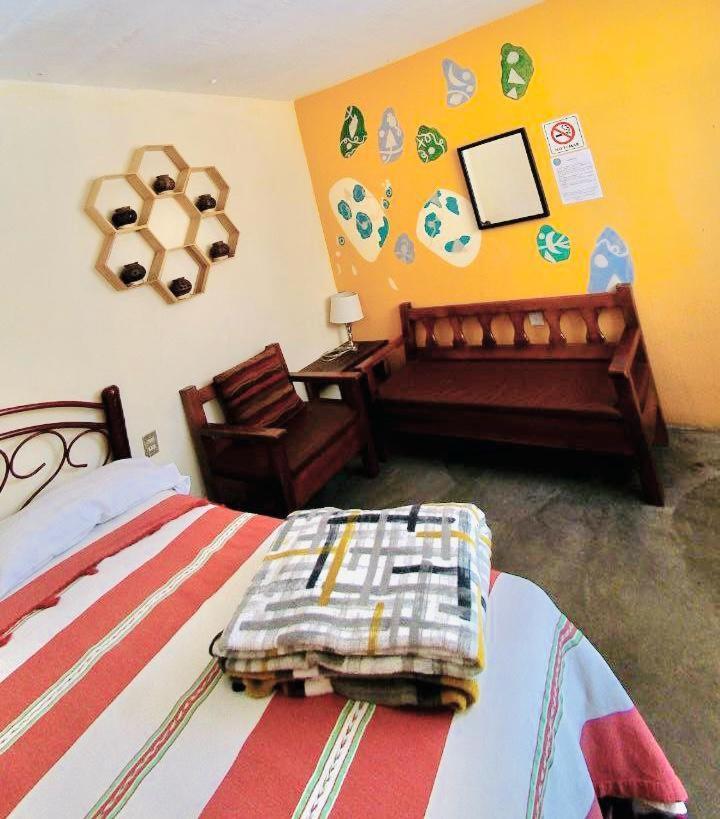 Los Nardos Hostel -Pet Friendly- Oaxaca Exterior photo