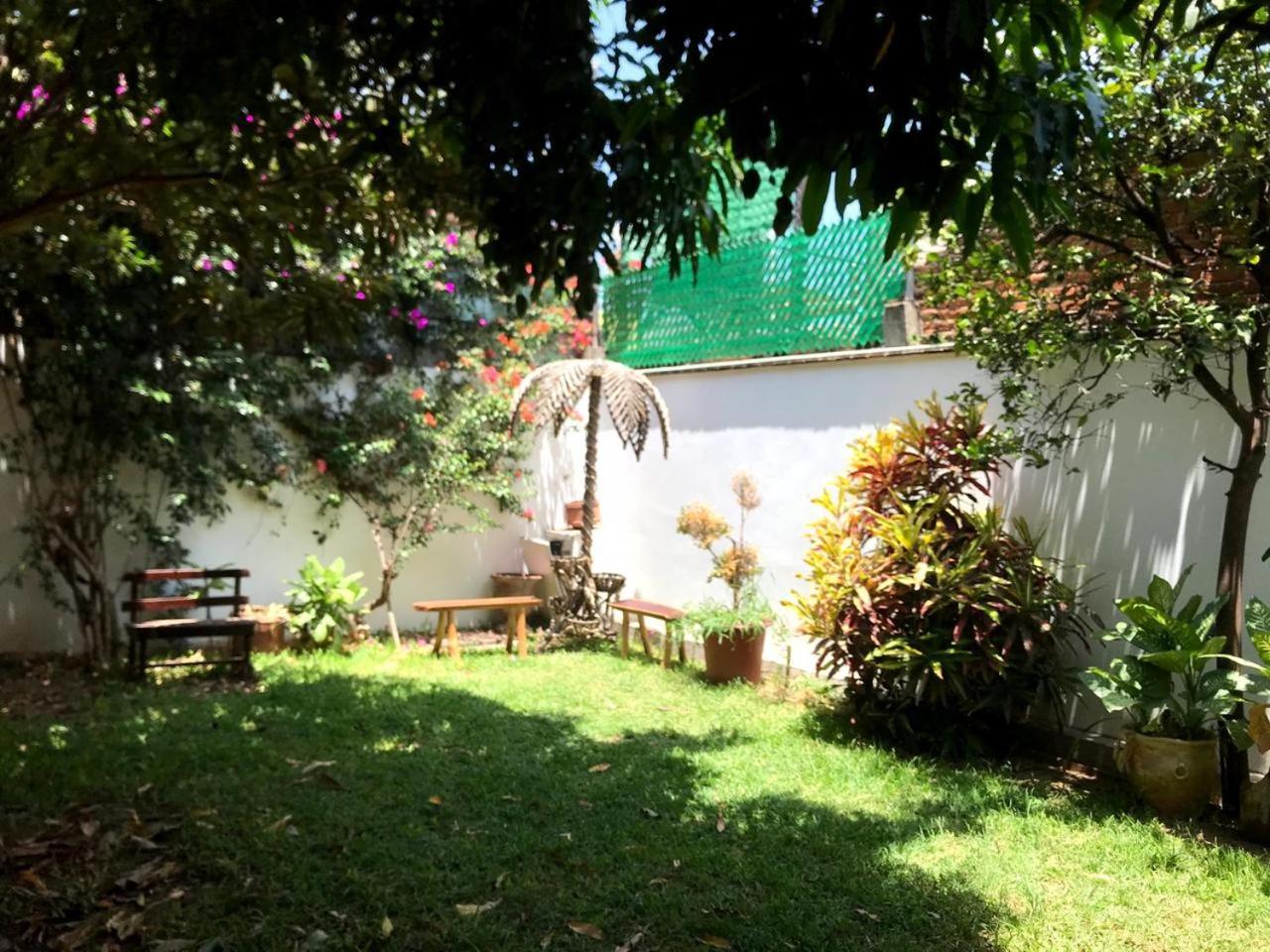 Los Nardos Hostel -Pet Friendly- Oaxaca Exterior photo