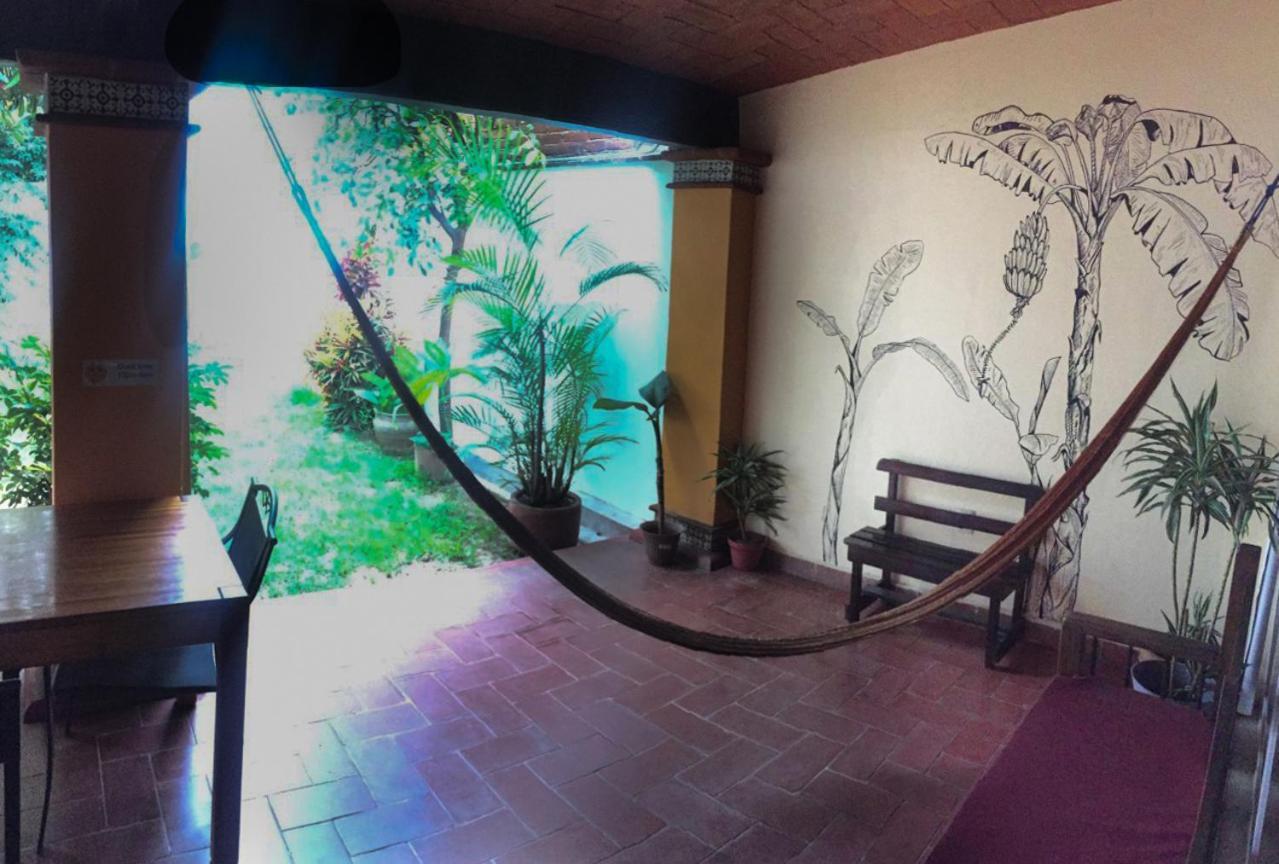 Los Nardos Hostel -Pet Friendly- Oaxaca Exterior photo