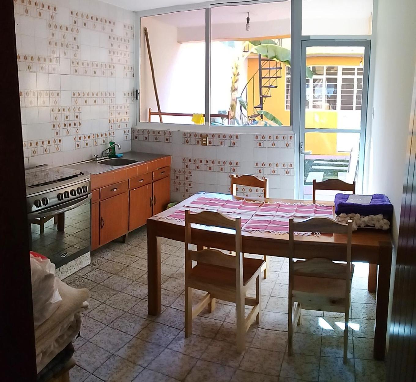Los Nardos Hostel -Pet Friendly- Oaxaca Exterior photo